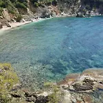 La Sarrazine - Port Du Niel - Vue * Hyères